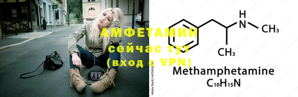 МДПВ Вяземский